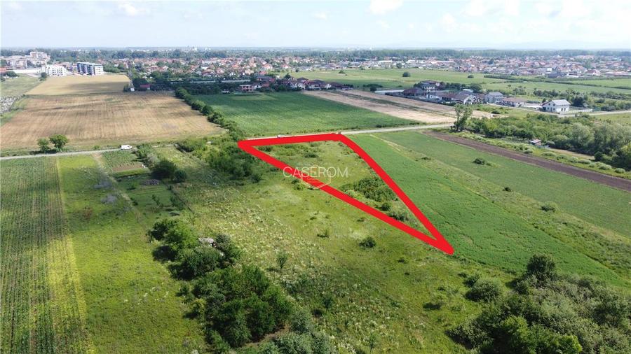 Investitie | Teren 4.030 m² in Satu Mare | Amatiului - Drum asfaltat - 4