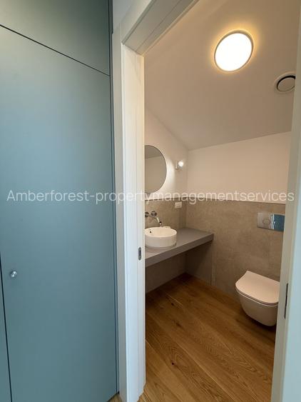 Inchiriere vila cu 4 camere Amber Forest - 24