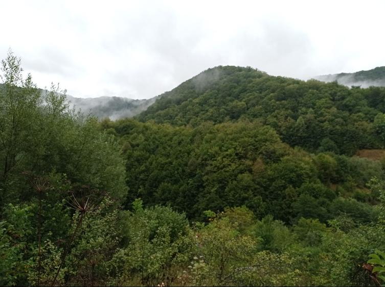Proprietar-Vând două terenuri, unul de 7.100 mp, celălalt de 25.000 m2