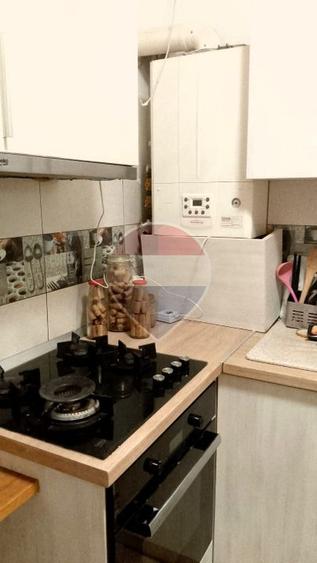 Piata Unirii_IN VILA_Apartament | 2 GARSONIERE individuale