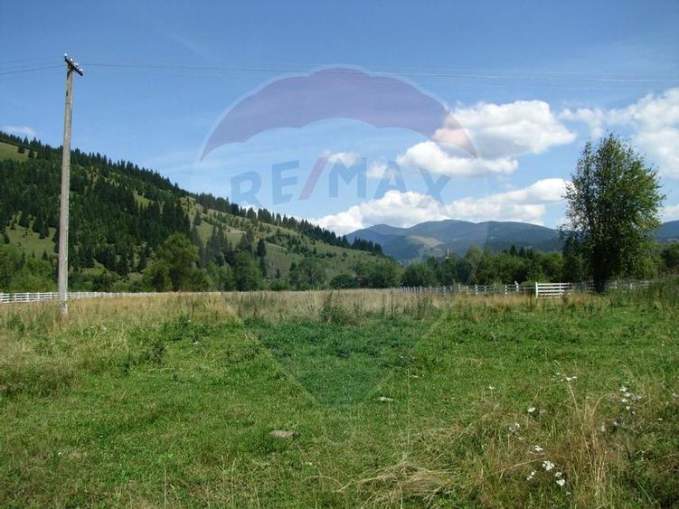 Vanzare Teren 13.650 mp , Suceava / com.Dorna Arini