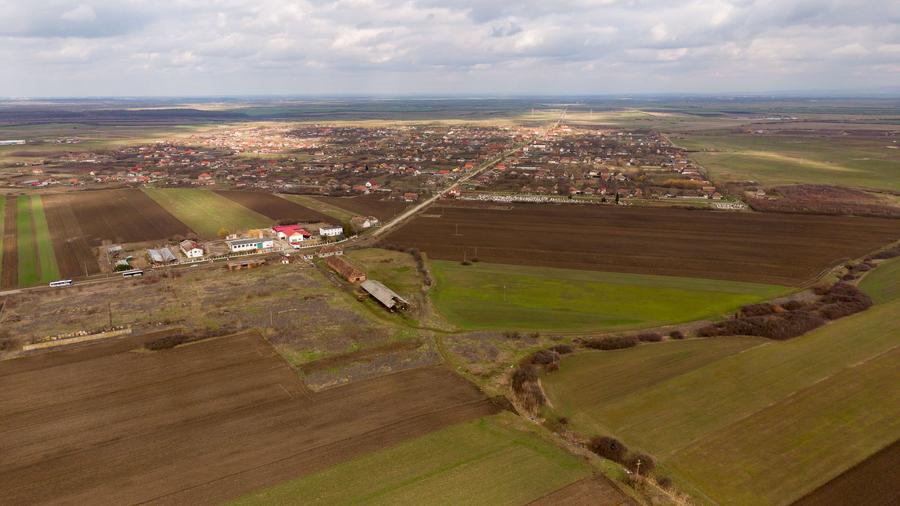 Fermă cu teren intravilan de 35000 mp în Mișca