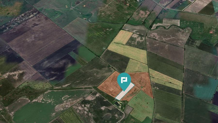 Teren extravilan de 28900 mp în Variașul Mare