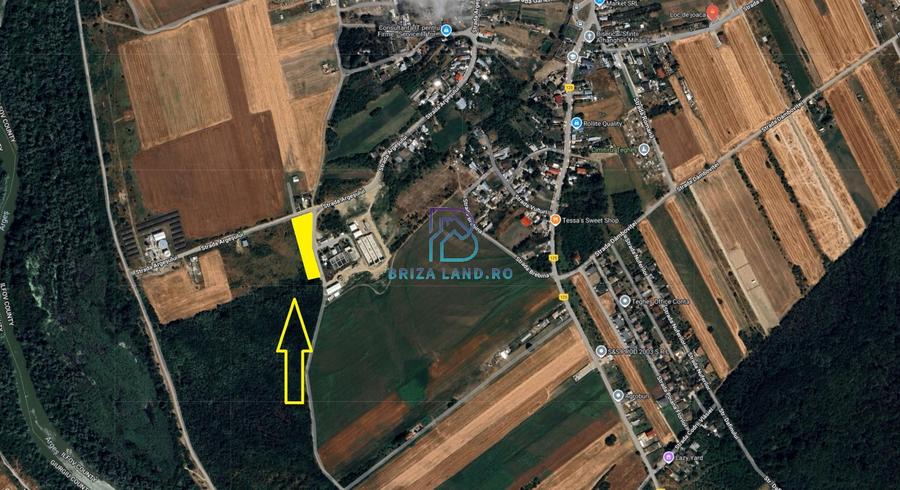 Domnesti, Teghes, teren la padure, str. Argesului, teren 2475mp, d=36.2m