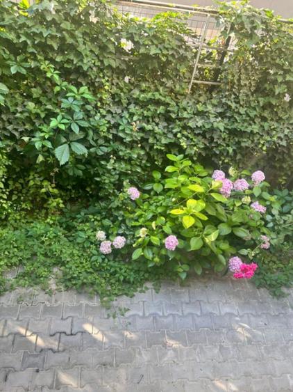 4 Camere Herastrau | Gradina 40 mp | 2 locuri de parcare+boxa