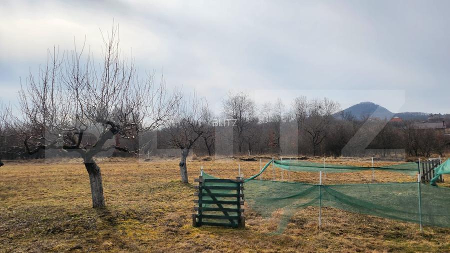 Teren extravilan, 20 de arii, Valea Rusului, pretabil pentru investitie! - 3