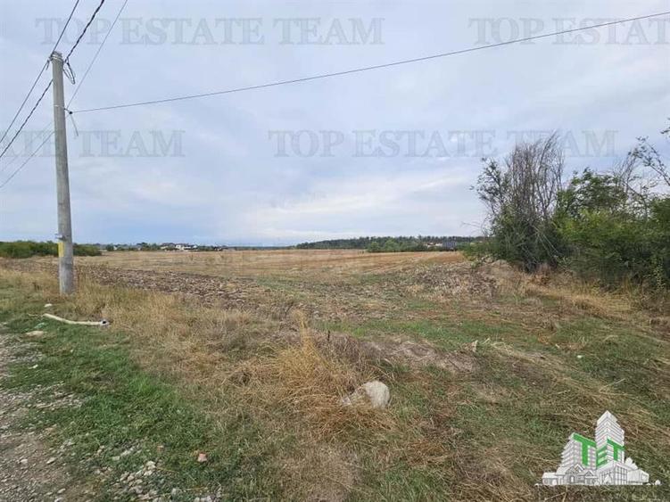 Teren Intravilan pentru constructie, 3000mp, Branesti, Ilfov