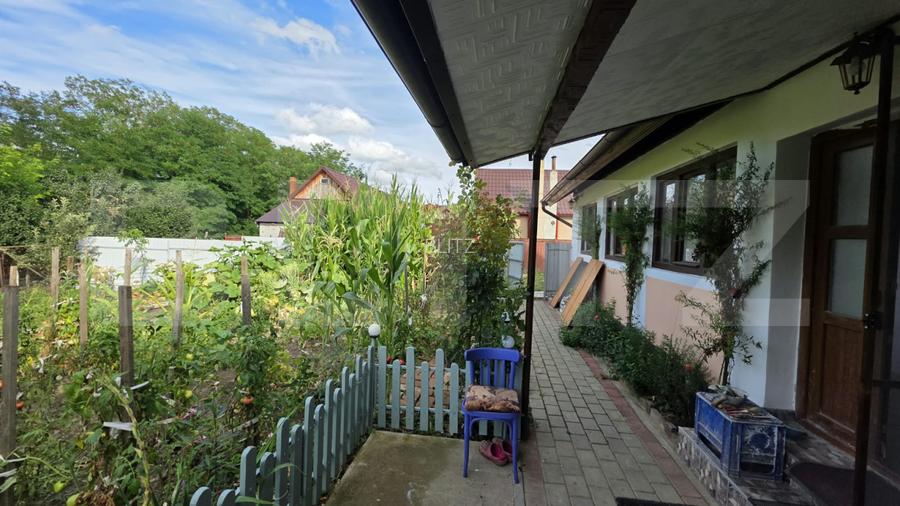 Casa de Vanzare in Teaca de 3 camere cu 11 arii teren - 12