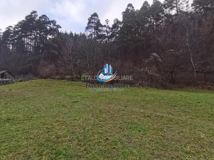 Teren Straja – Pangarati 3560 m, zona de Pensiune
