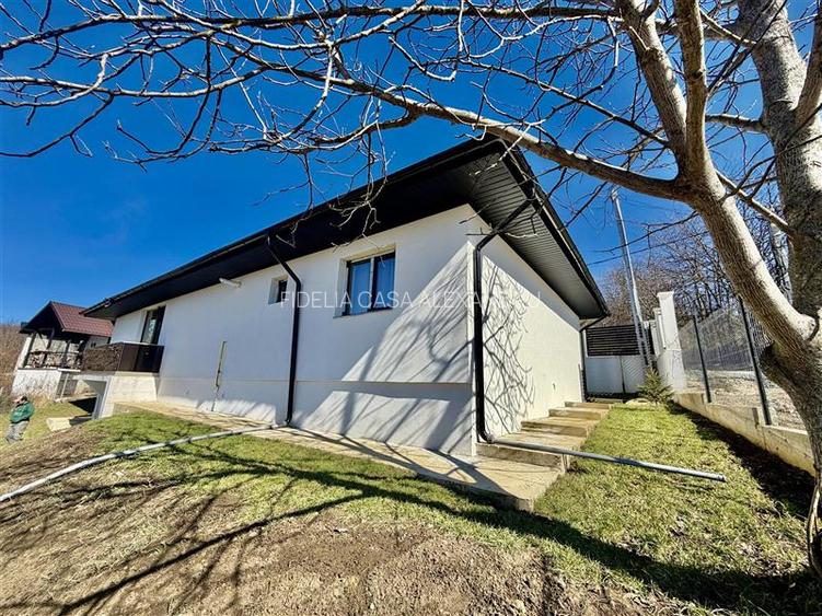 Case vile de vânzare Bârnova-Pietrarie - 3