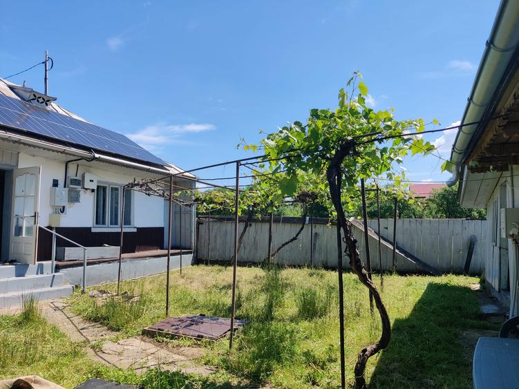 Casa la 5 km de Targu-Neamt - cu iaz si livada matura - gata pentru mutat