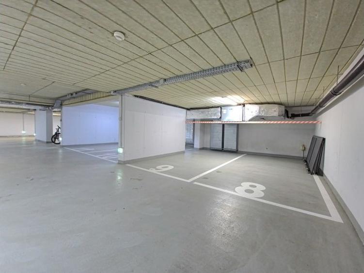 Apartament Primaverii - curte 100mp