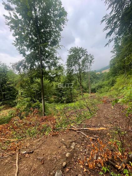 Teren intravilan, 2.6 ha, zona Complex Turistic Suior - 4