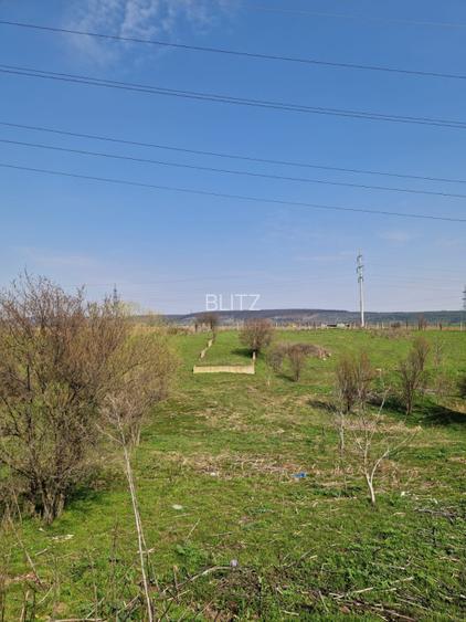 Fermă de vânzare 8 ha – Balș, județul Olt - 12