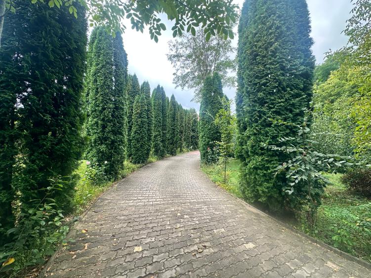 Sighișoara - Pensiune pe un domeniu de 8000 mp