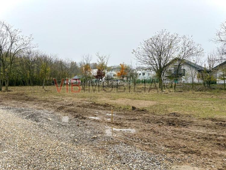 Teren intravilan de vanzare in Snagov – Ciofliceni - 5
