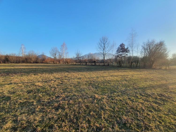 Teren intravilan Bran – Sohodol zona de case