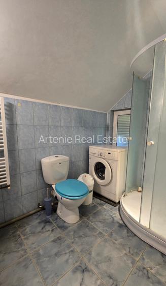 Otopeni  Casa P+M/ teren 878 mp gradina matura - 23
