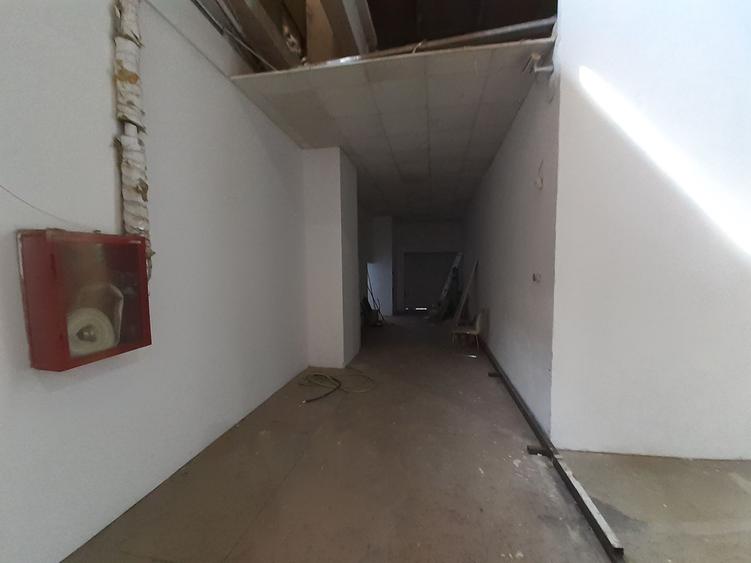 Zona bd. Th. Pallady - hala si birouri 550mp