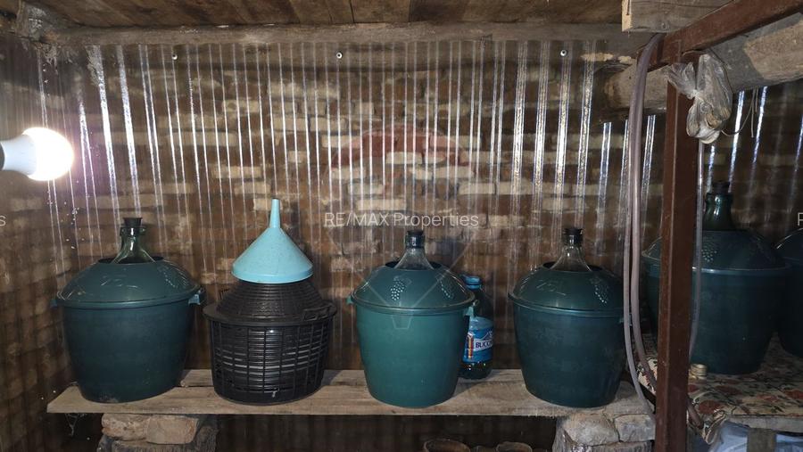 Domeniu rural, gospodarie/multifunctionala cu casa, livada, vie - 12