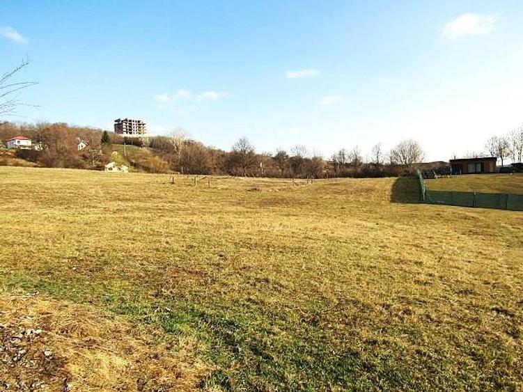 1000 MP, curs constructii langa oras! Vanzare teren intravilan in Targoviste Ale