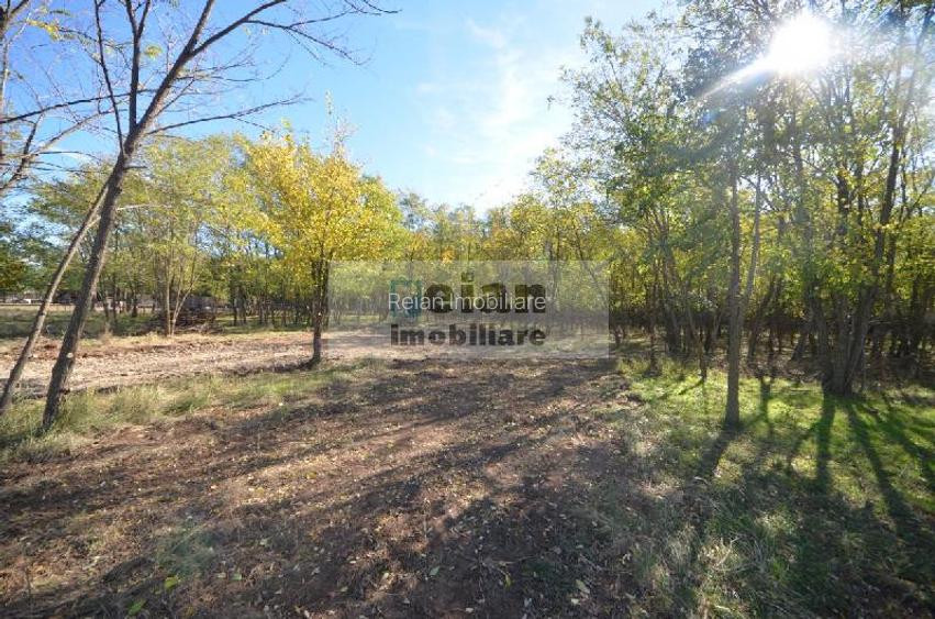 Snagov Ciofliceni Mânastire- Teren 1432 Mp, D 60 M, Curent Gaze Asfalt - 7