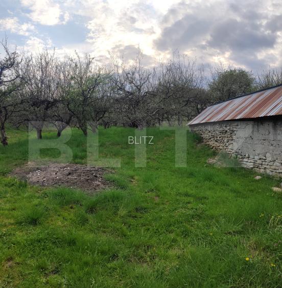 Teren Construibil 2900 mp cu 2 deschideri la asfalt – livadă matură, DN 72A - 12