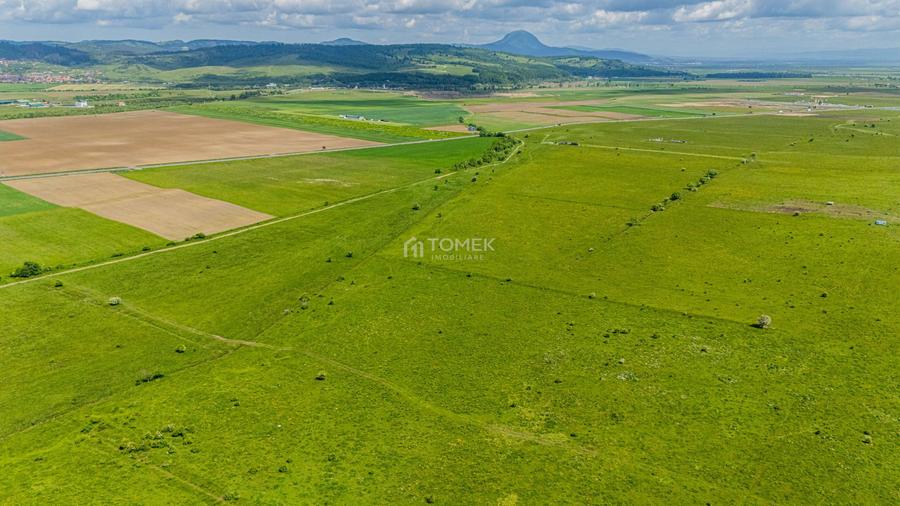 Teren de investiție în zona Tohanul Nou - Bran 5.800 mp
