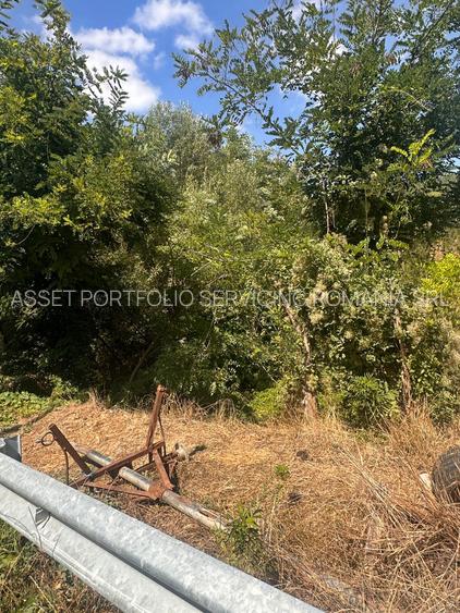 TEREN INTRAVILAN - 2500 MP - Valea Mare- Podgoria - 7