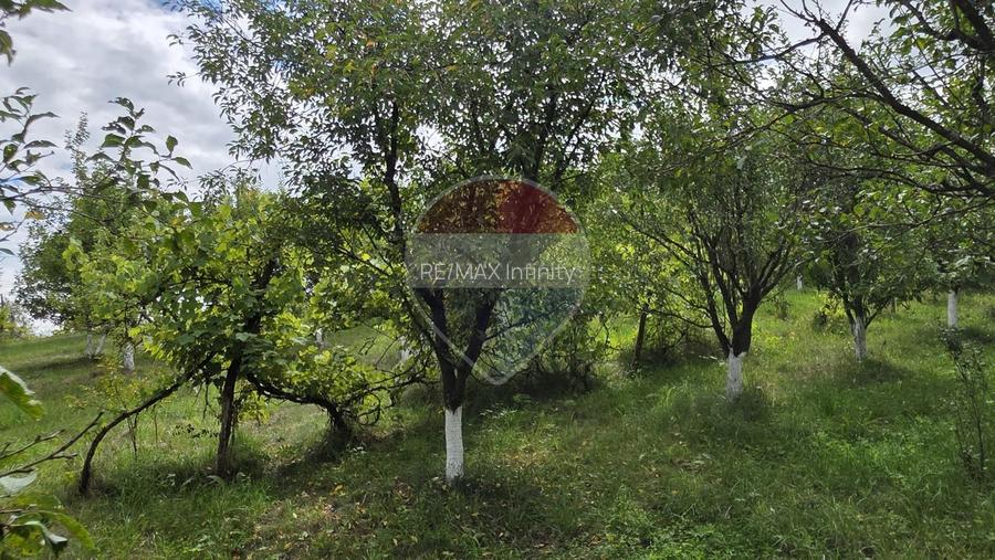 Casă cu teren generos de 2.800 mp la 38 km în satul Elciu - 15