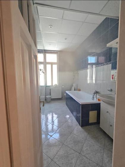 Ultracentral 130 m2 Piata Victoriei Strada Paris