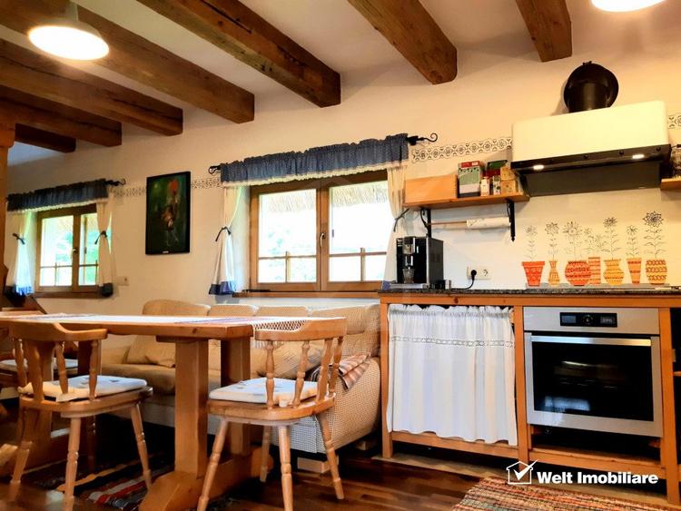 Casa rustica, exclusivista, 5 camere, 170 mp utili, 550 mp teren, Salicea