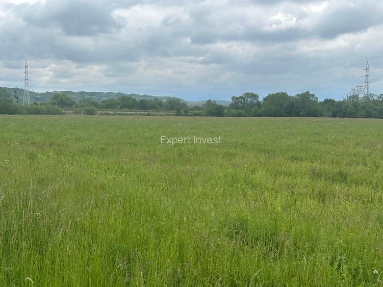 Vand teren extravilan 8.600 mp in Selimbar / jud. Sibiu - 3