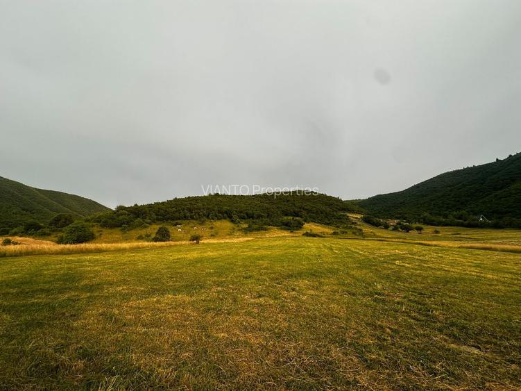 Oportunitate Teren Pt Investitie 3408mp in Gura Raului - 8