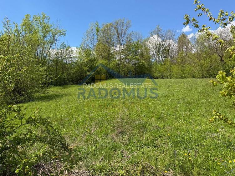 Teren Intravilan  – Provița de Jos | 1.939 mp | Curent electric - 5