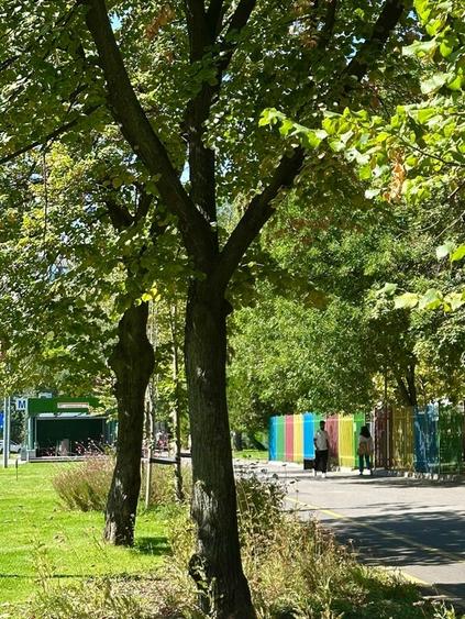 Drumul Taberei, Romancierilor langa statia de Metrou, Proaspat Renovat