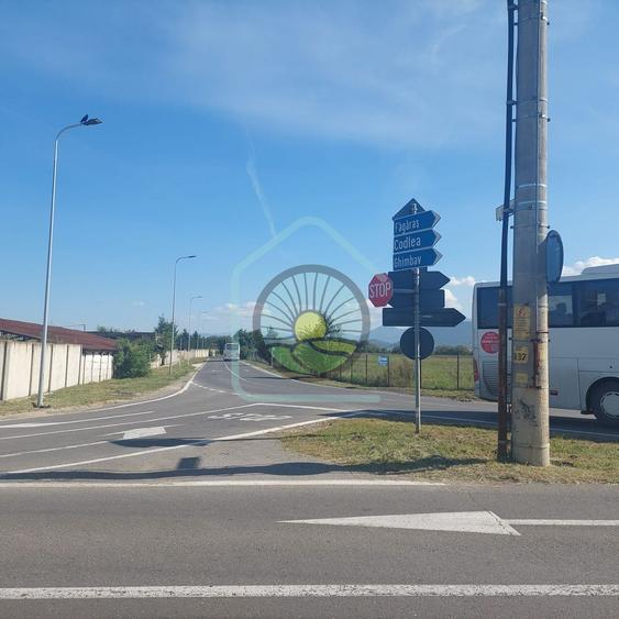TEREN STUPINI BRASOV