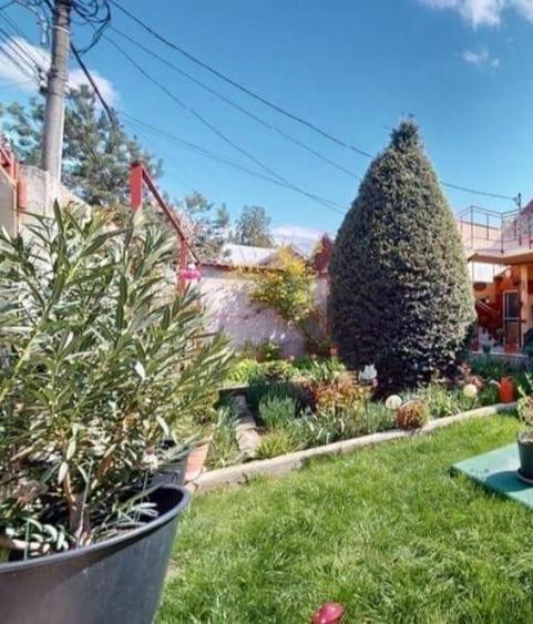 Voluntari  Vanzare  Vila 265 000eur