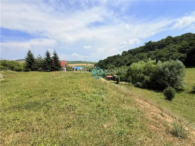 Vand teren 2500 mp in Unirii zona Laboratorului Denisa - 6