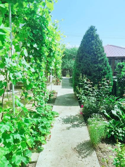 Colt de rai refugiul tău verde în inima naturii