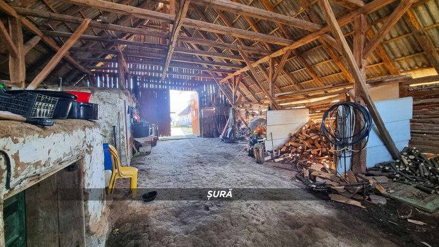 Casa de vanzare in Borlesti, Pomi | 37 ari teren | Comision 0%