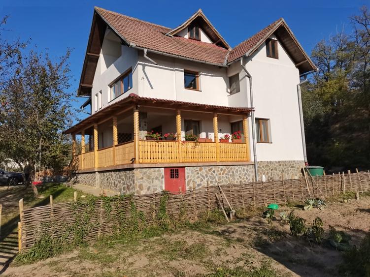 Casa Slanic Arges 5 camere
