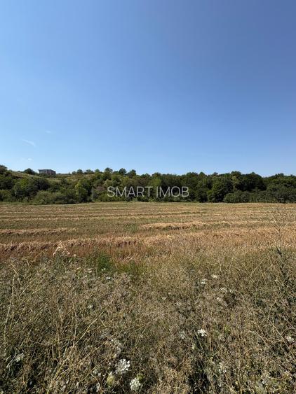 Teren 775mp intravilan Ortelec Pret 12500eur total - 4