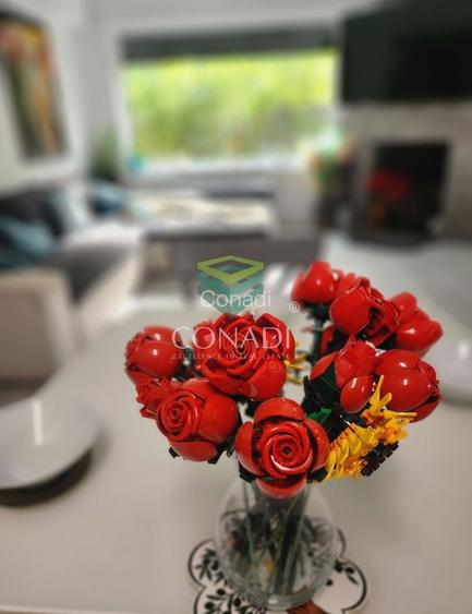 Casa fermecatoare cu  4 dormitoare de vânzare Otopeni, Penny Odai - 4