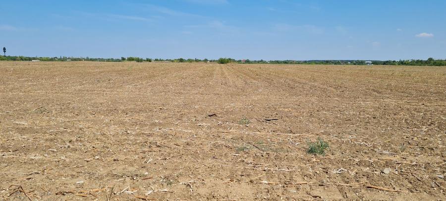 Teren pentru proiect de case in Buftea, cu deschidere la lacul Buciumeni