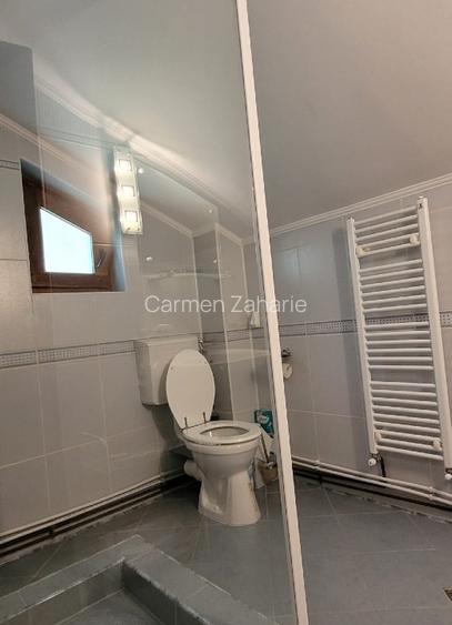 Casa de vacanță Râu Mare Retezat - 11