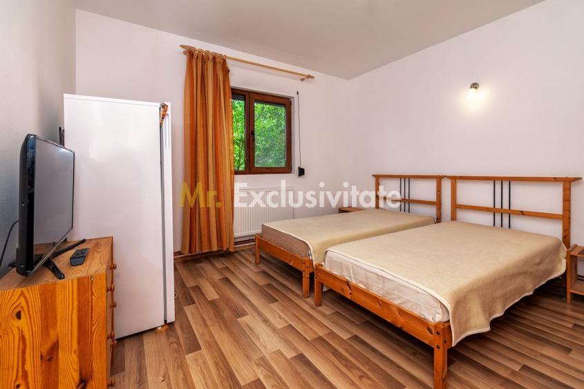 Casa moderna si casa bunicii + 6300 mp teren,Oaza autentica in Corbi Arges-