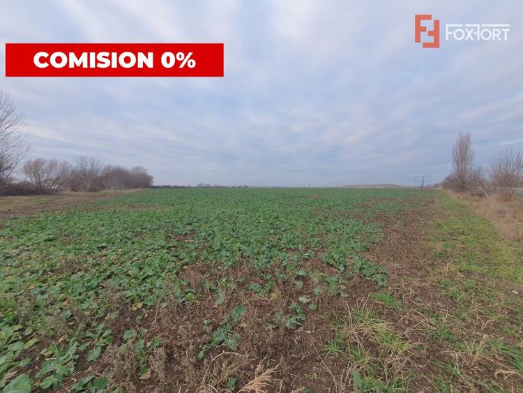 COMISION 0% Teren extravilan 20.000 mp la sosea in Sag