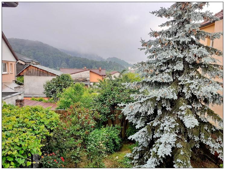 Vanzare Casa Str Lunga Carierei