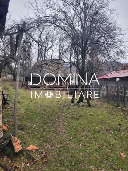 Teren generos 4790 mp + casă tradițională, în loc. Mușetești - 10